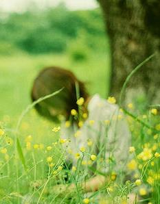 《葵花朵朵》宝宝的笑容永远像花