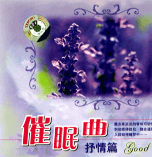 《林眠》多么美妙的夜晚