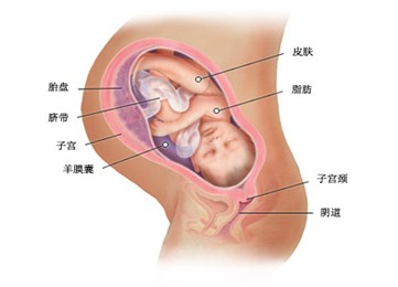 怀孕第三十九周